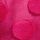 Berry Pink
