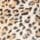 Leopard Love