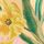Kew Gardens Floral Print