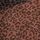 Brown Leopard