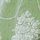 Green Josette