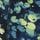 Green Lilypad Print