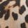 Leopard Brown