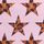 Pink Leopard Stars