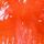 Orange Palm