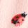 Pink Ladybird
