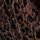 Animal Leopard Print