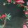 Green Bird Print