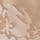 Champagne Floral Burnout