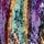 Purple Multi