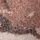 Brown Zebra