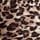 Brown Leopard