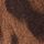Brown Leopard