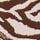 Brown Zebra