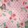 Paddington Blossom
