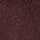 Burgundy Red