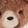 Ecru Bear