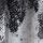 Monochrome Plisse