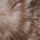 Animal/Deer Print
