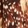 Deer Print