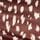 Brown Deer Print