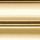 Dark Blue/Gold