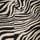 Black Zebra Print