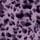 Violet Purple