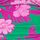 Grønn/Rosa