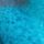 Teal Blue Check