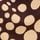 Chocolate Brown/Cream Spot