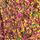 Rust Brown Glitter