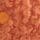 Orange Pumpkin