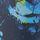 Navy Football