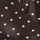 Chocolate Brown Spot