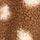 Brown Spot