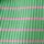 Green/Pink Stripe