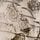 Kew Gardens x Next Monochrome Floral Print