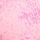 Coconut Pink Leopard Print