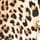 Leopard Love Velvet