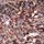 Champagne Gold Sequin