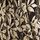 Metallic Leaf Print