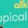 Tropical Coconut