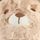 Brown Bear