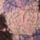 Pink/Plum
