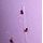 Lilac Purple