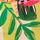 Green Stripe Tropical