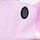 Pink Dragon