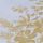Ochre Yellow