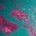 Green and Pink Floral